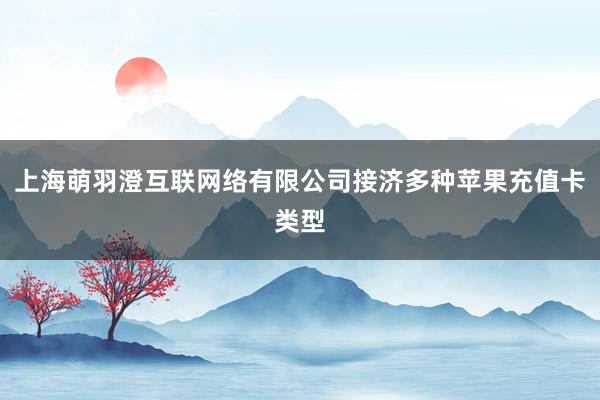 上海萌羽澄互联网络有限公司接济多种苹果充值卡类型