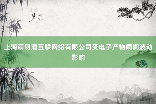 上海萌羽澄互联网络有限公司受电子产物阛阓波动影响