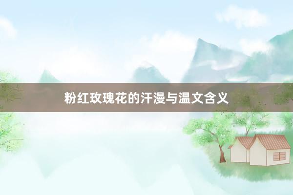 粉红玫瑰花的汗漫与温文含义